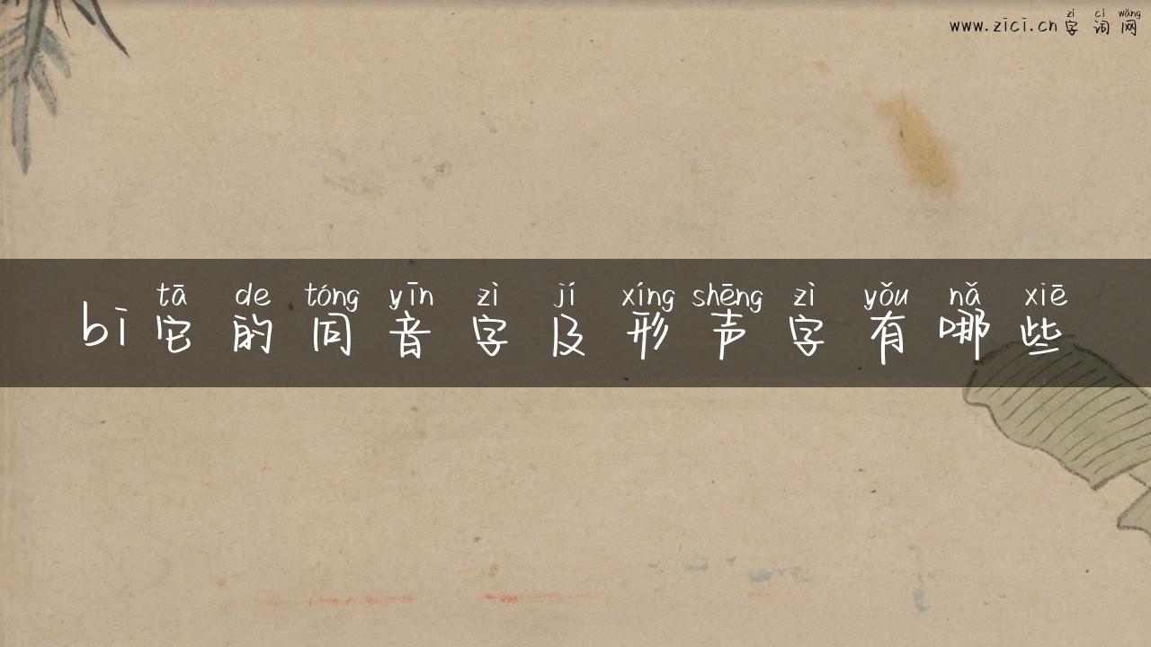 bi它的同音字及形声字有哪些