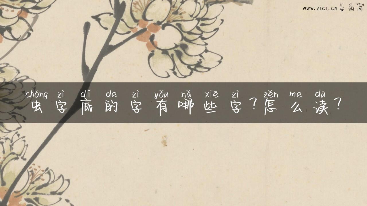 虫字底的字有哪些字？怎么读？