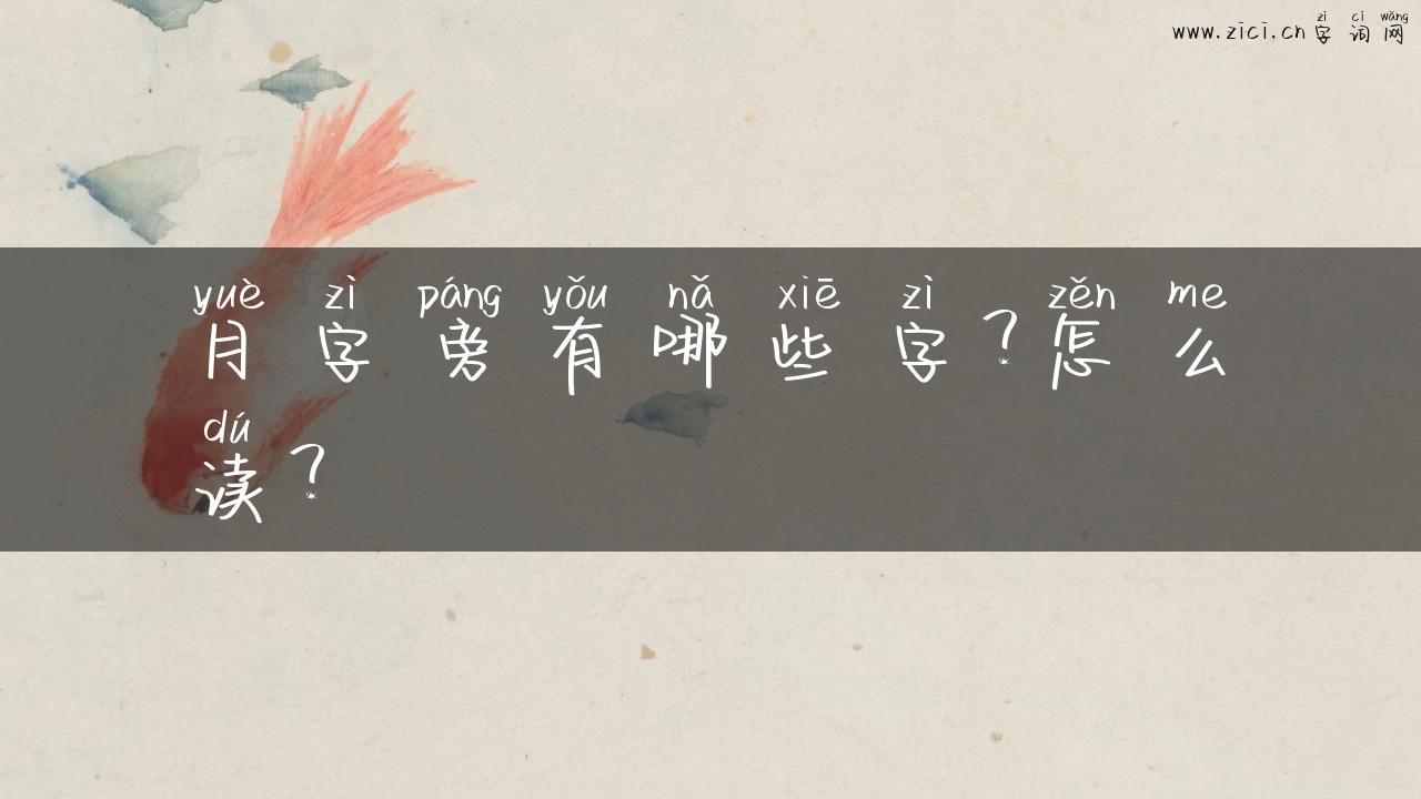 月字旁有哪些字？怎么读？
