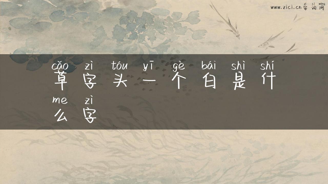草字头一个白是什么字