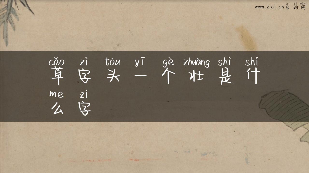 草字头一个壮是什么字