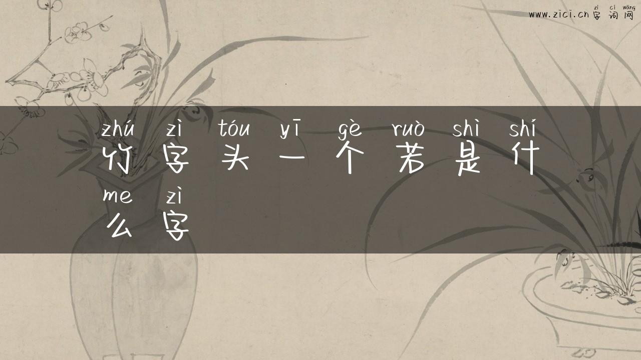 竹字头一个若是什么字