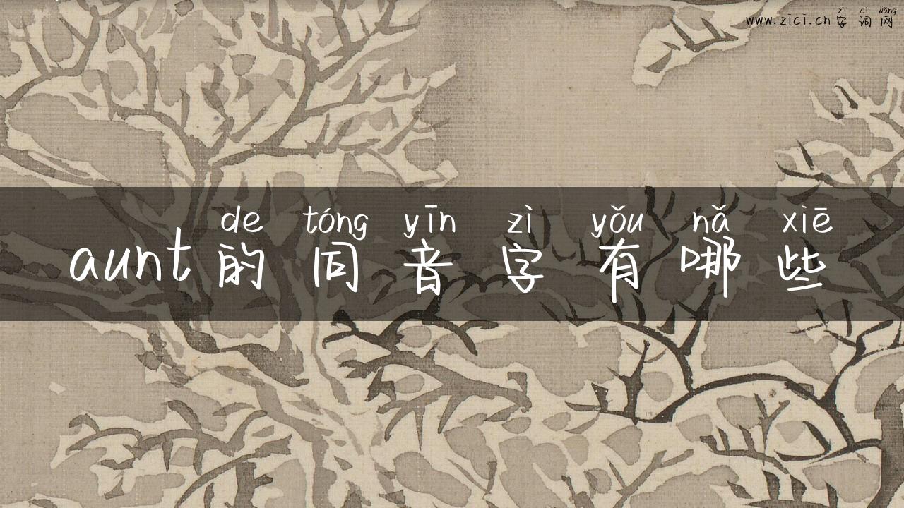 aunt的同音字有哪些