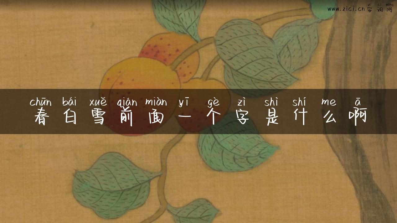 春白雪前面一个字是什么啊