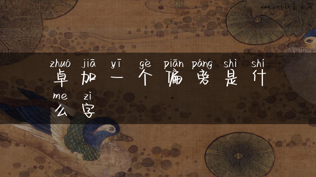 卓加一个偏旁是什么字