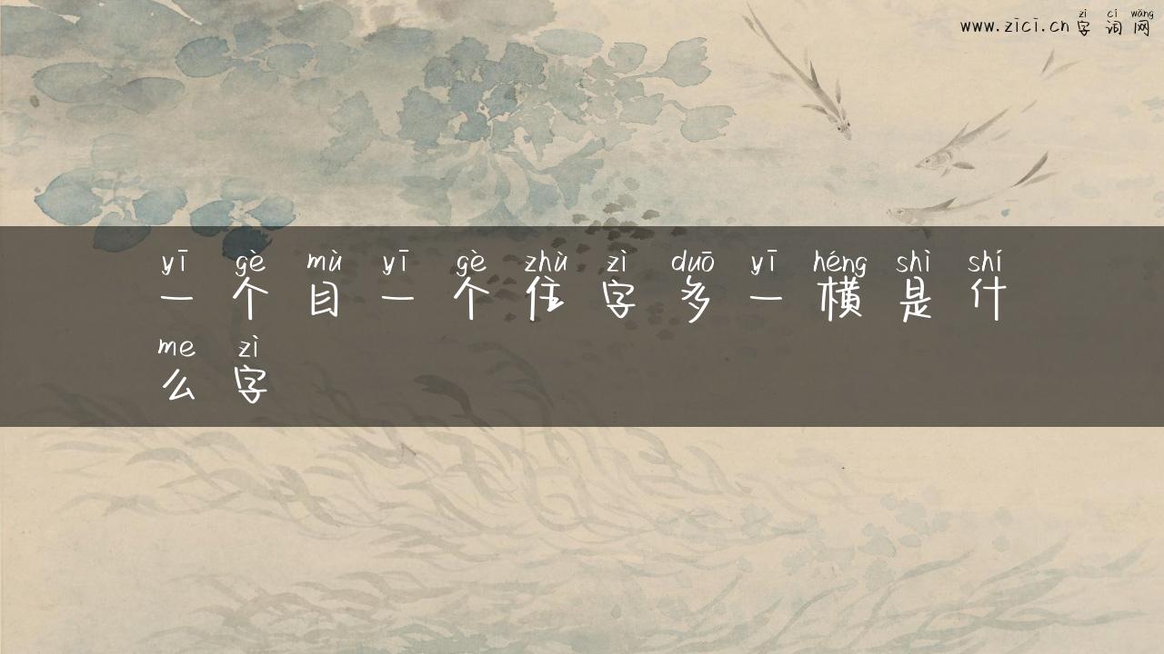 一个目一个住字多一横是什么字