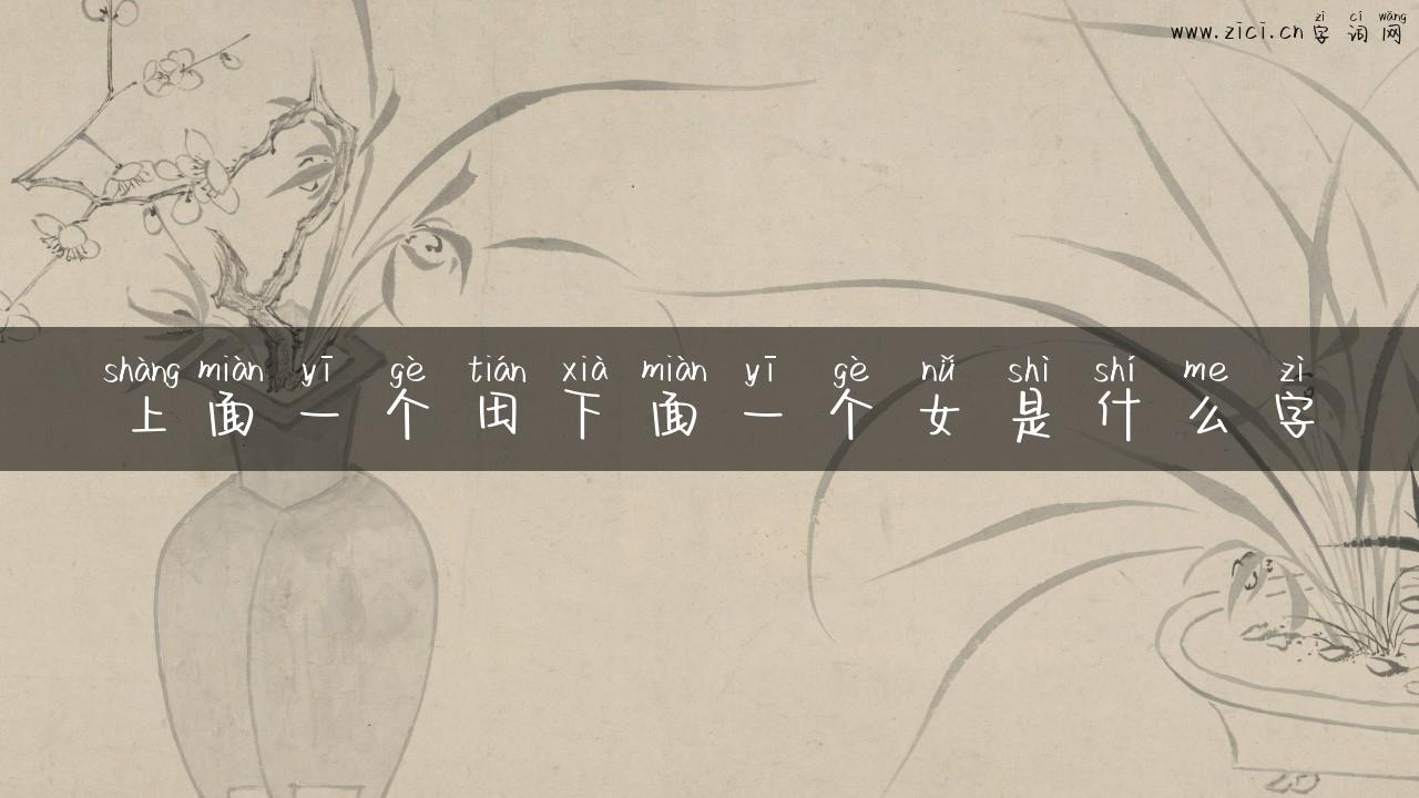 上面一个田下面一个女是什么字