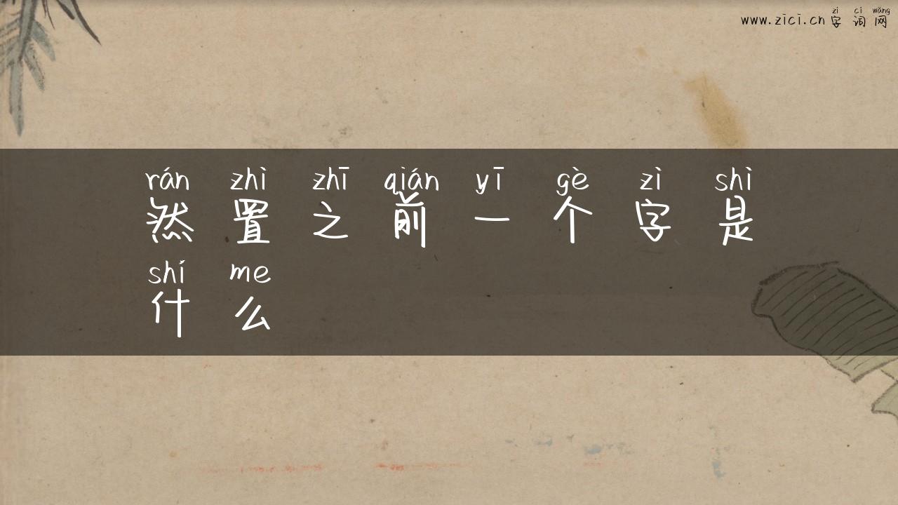 然置之前一个字是什么
