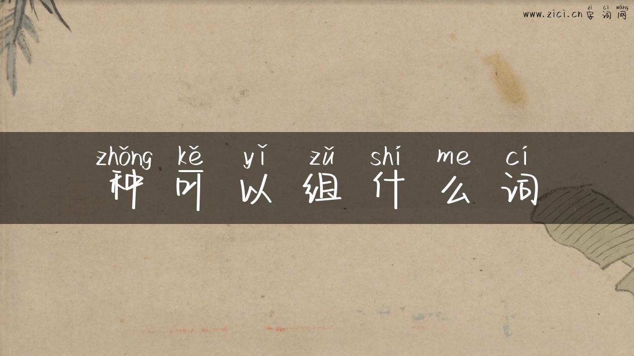 种可以组什么词