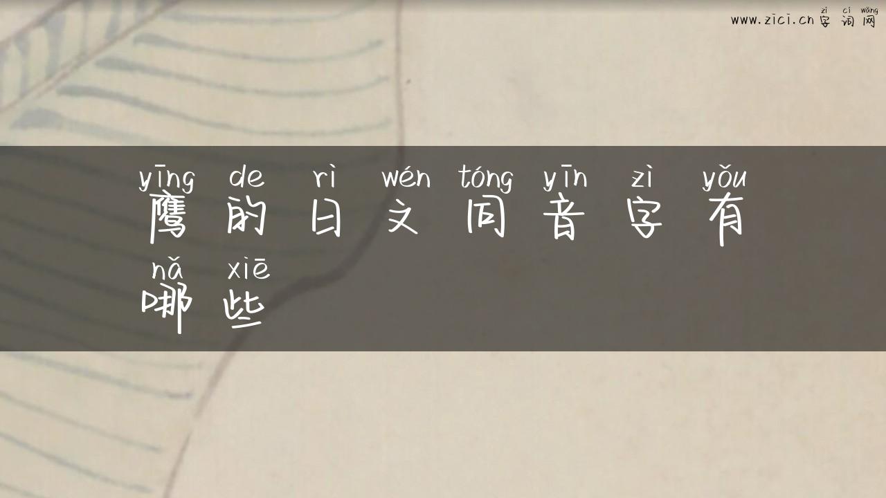 鹰的日文同音字有哪些
