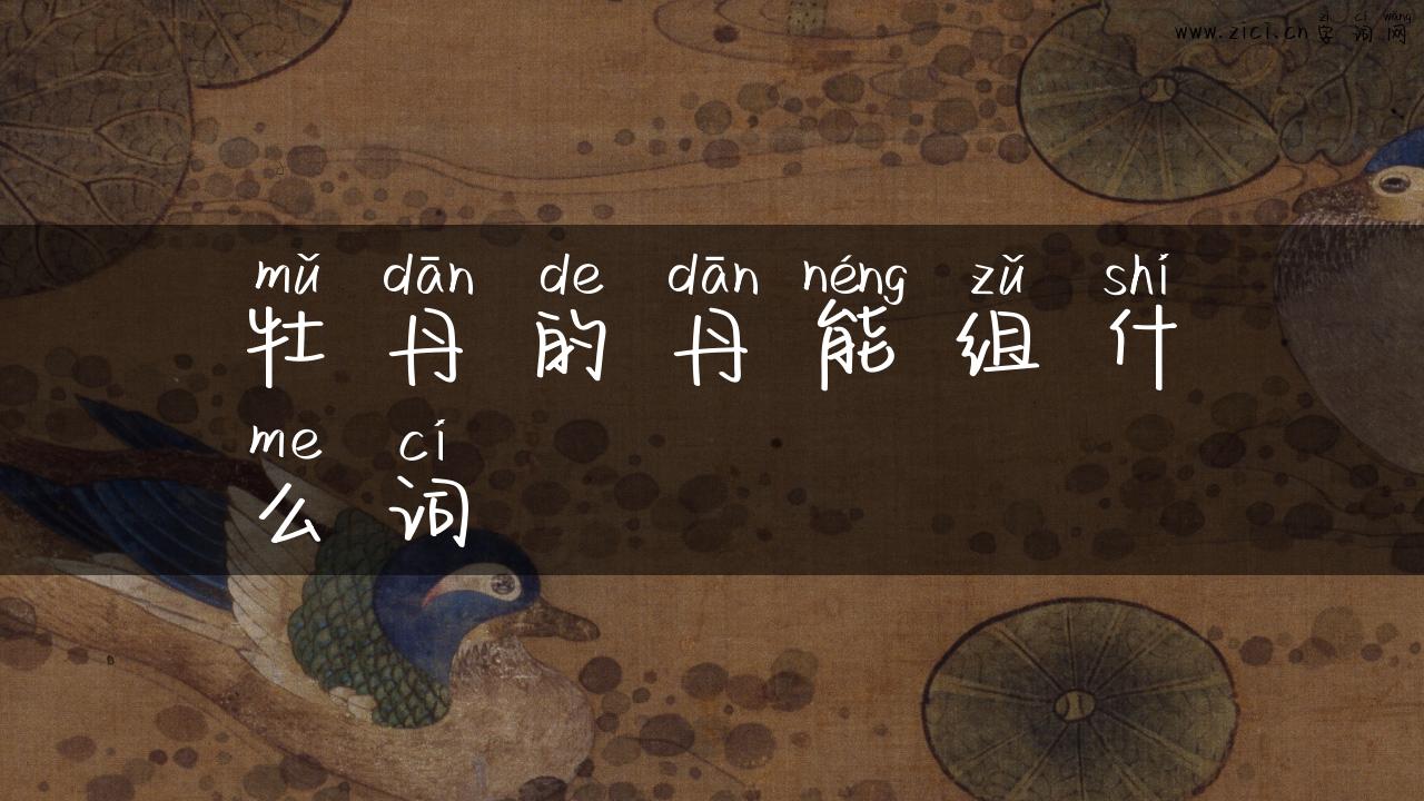 牡丹的丹能组什么词