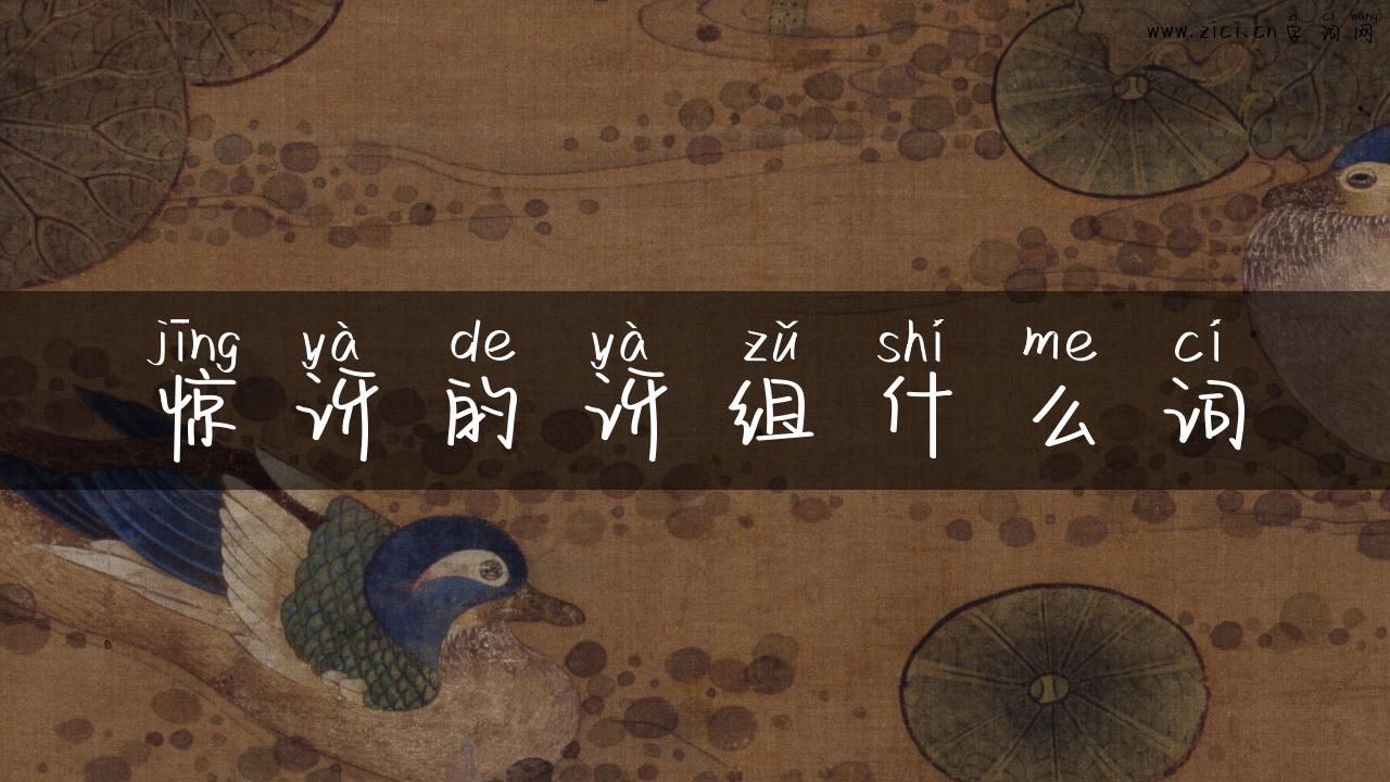 惊讶的讶组什么词