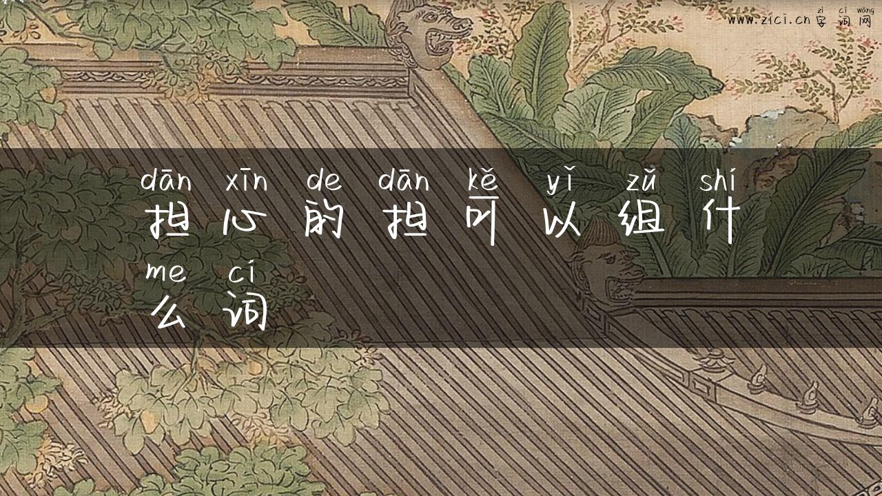 担心的担可以组什么词