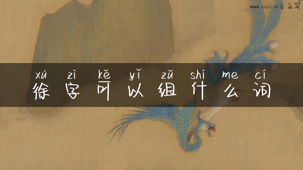 徐字可以组什么词