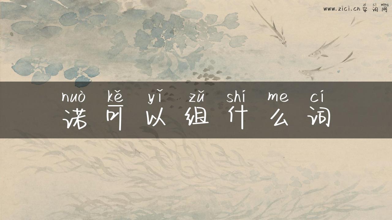 诺可以组什么词