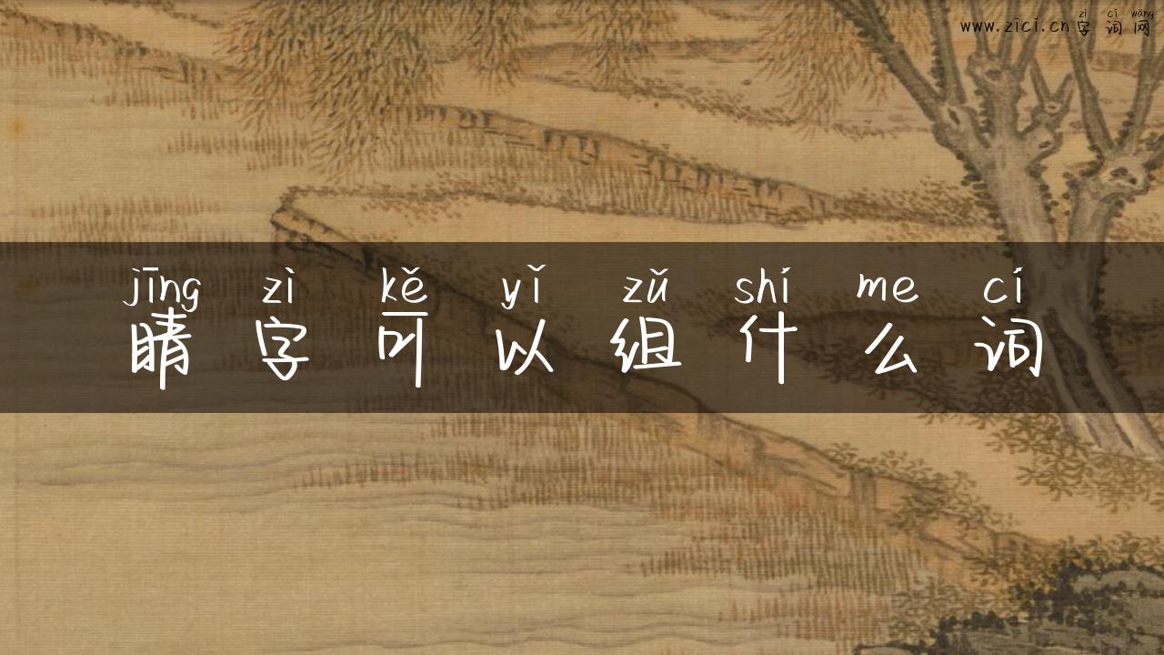 睛字可以组什么词