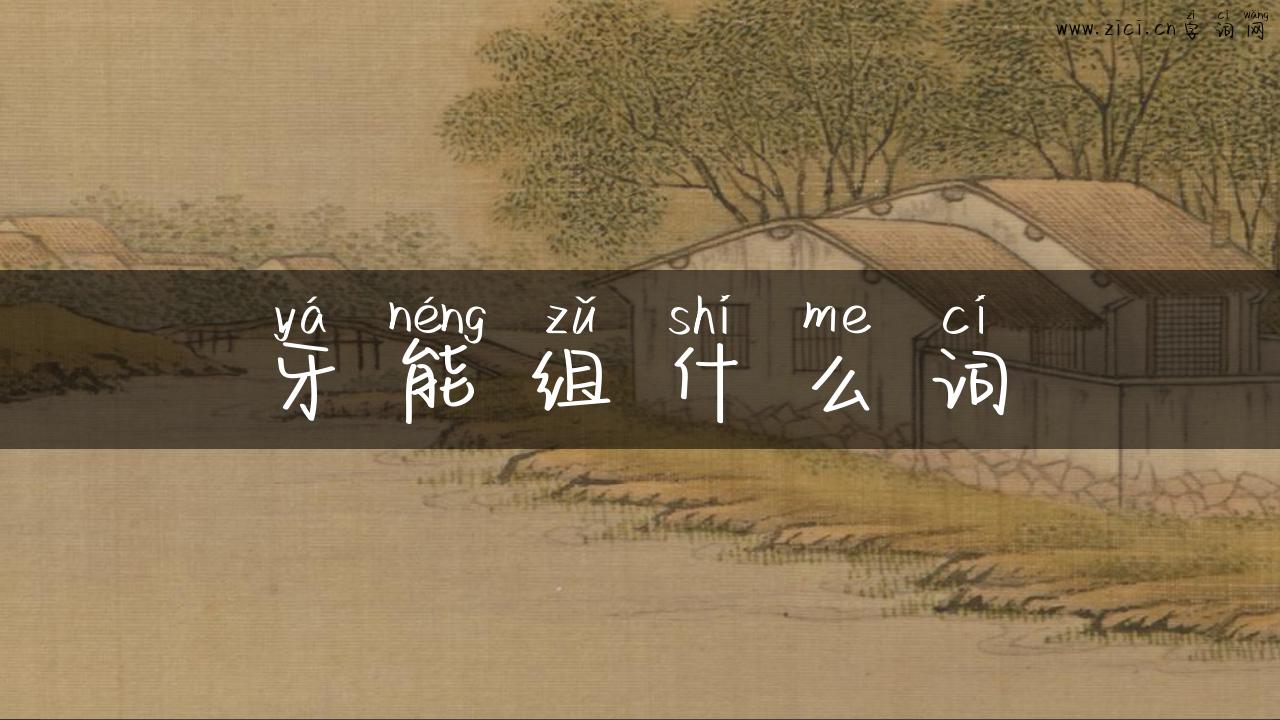 牙能组什么词