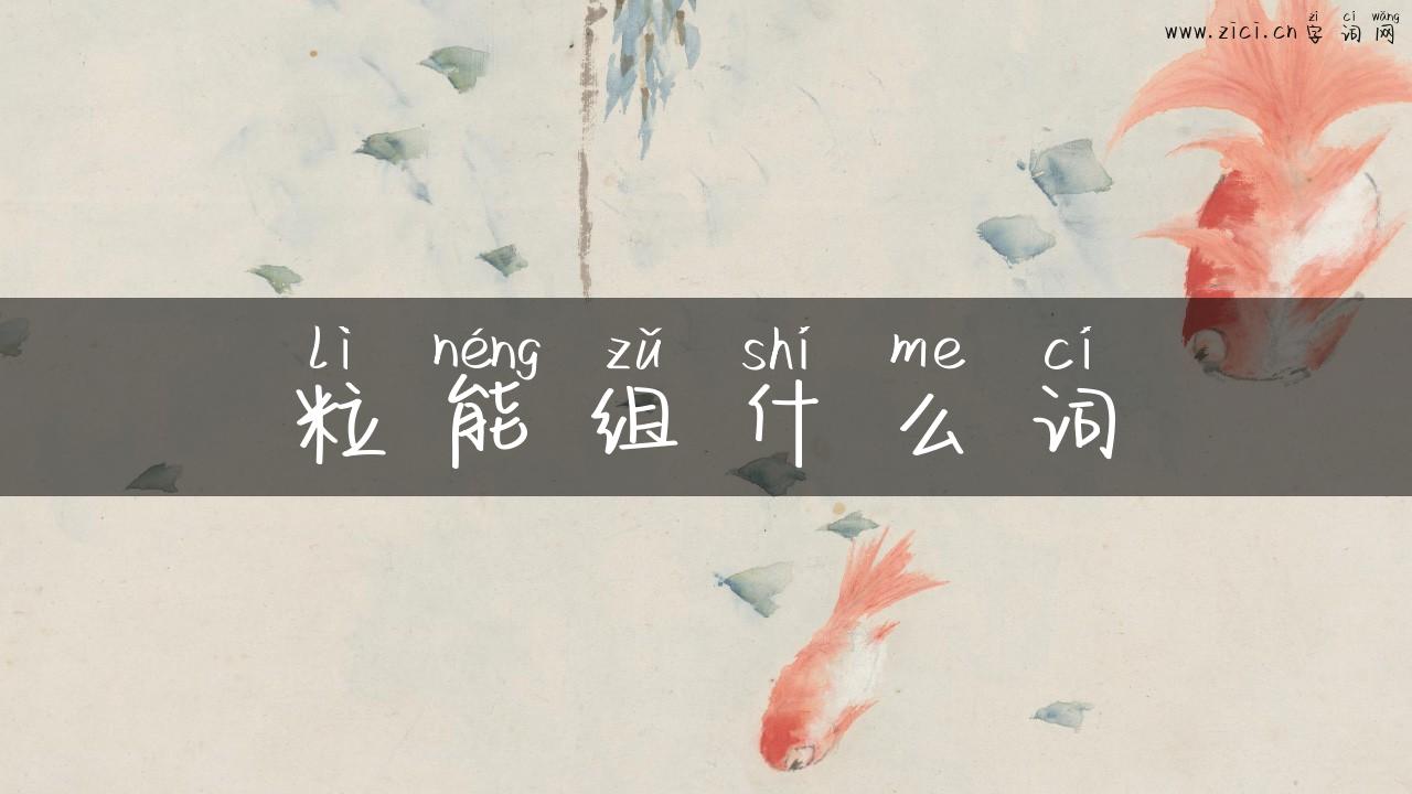 粒能组什么词