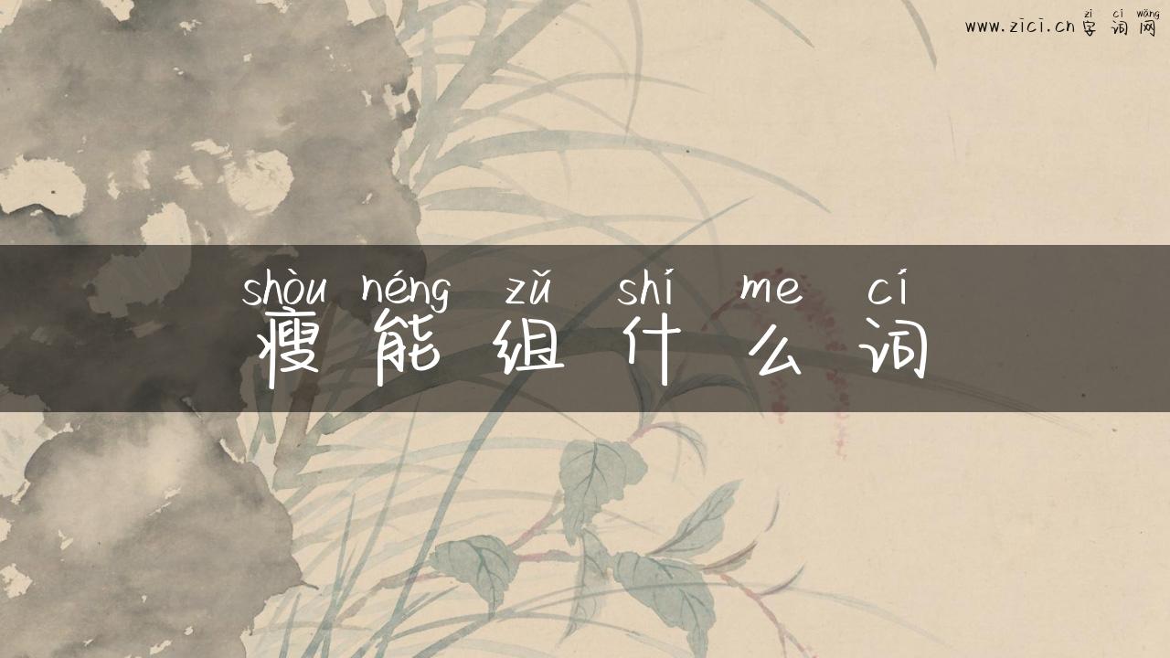 瘦能组什么词