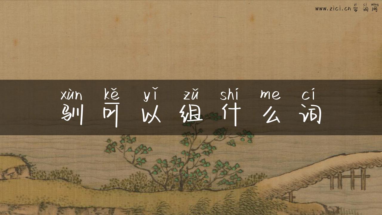 驯可以组什么词