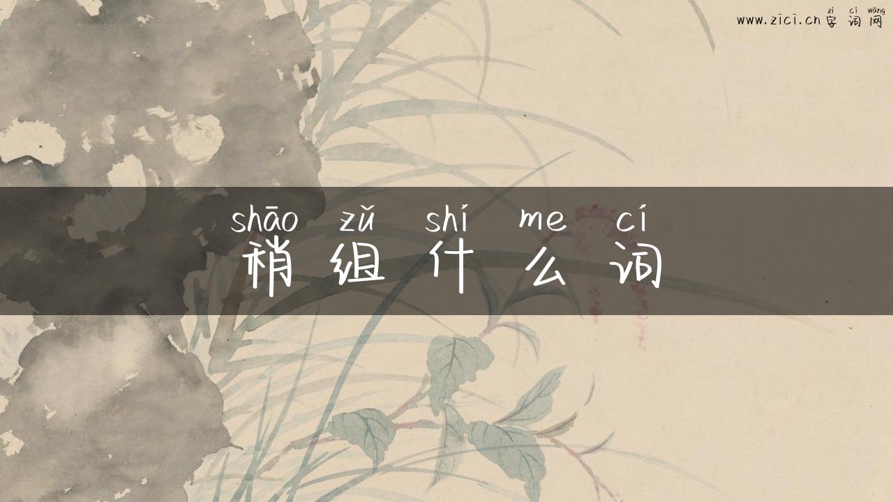 稍组什么词