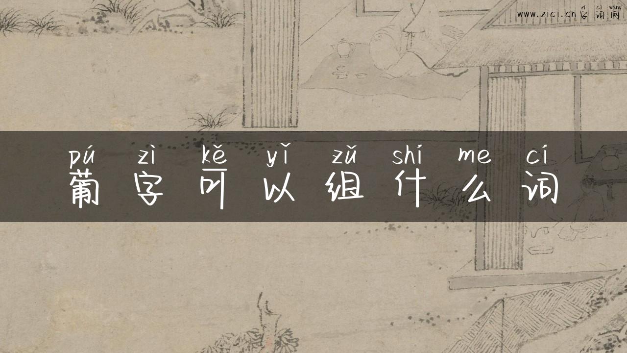 葡字可以组什么词