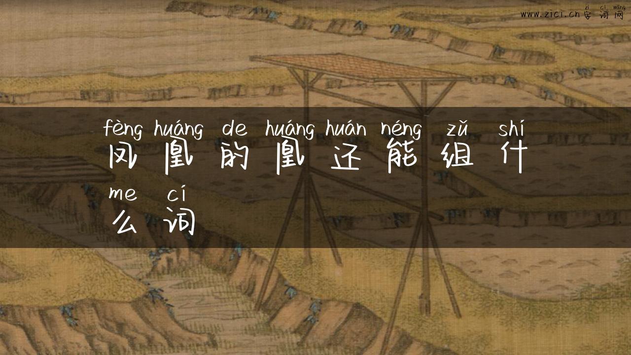 凤凰的凰还能组什么词