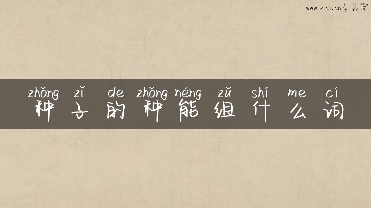 种子的种能组什么词