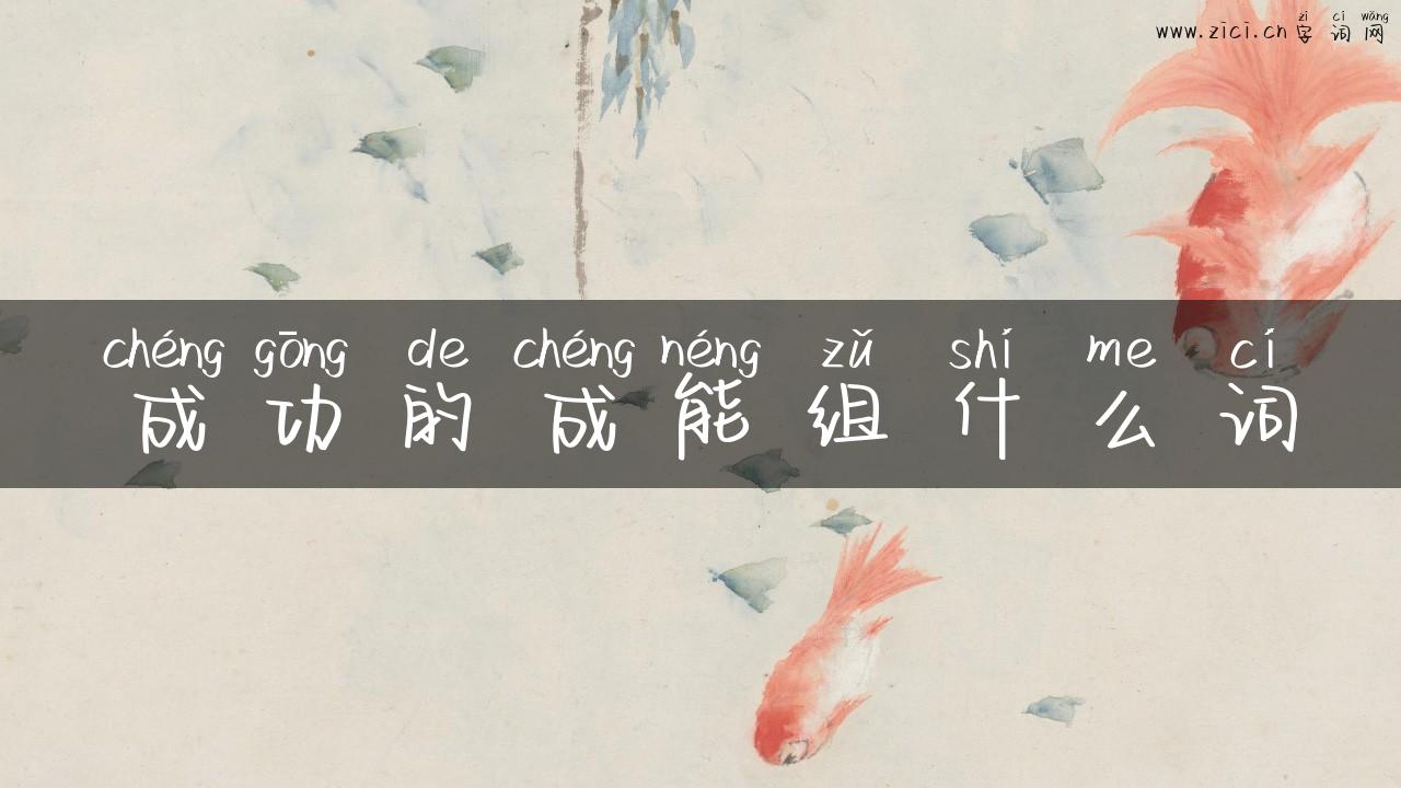 成功的成能组什么词