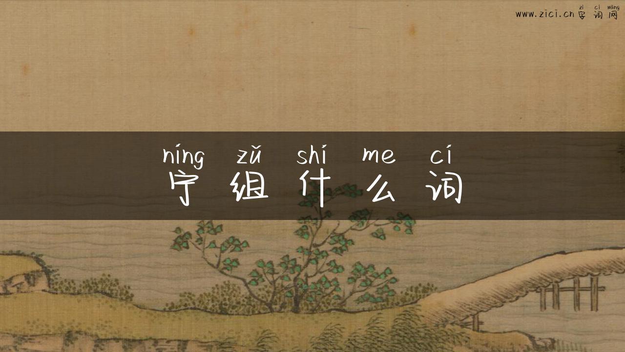 宁组什么词
