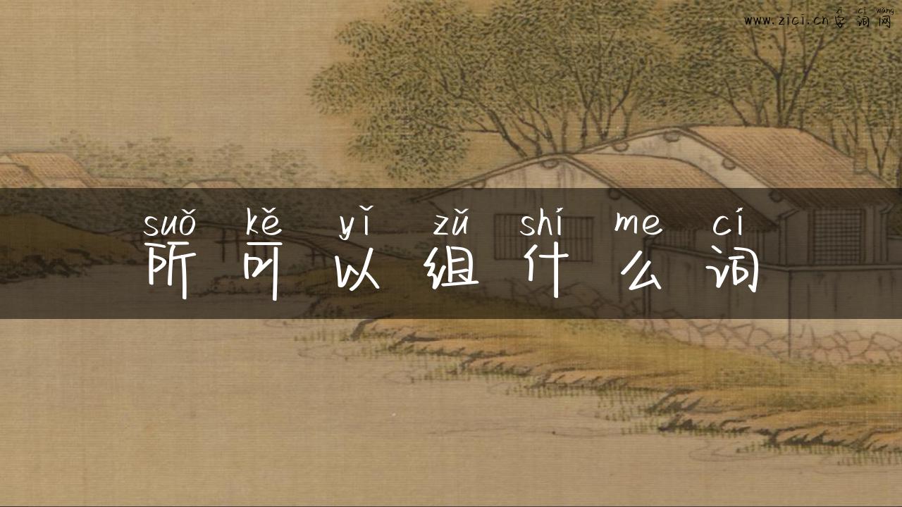 所可以组什么词