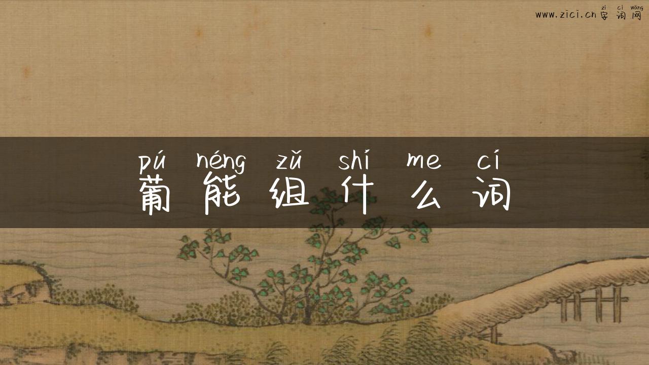 葡能组什么词