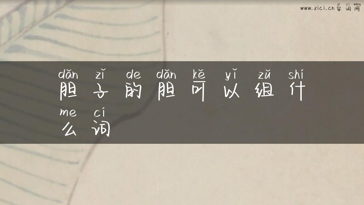 胆子的胆可以组什么词
