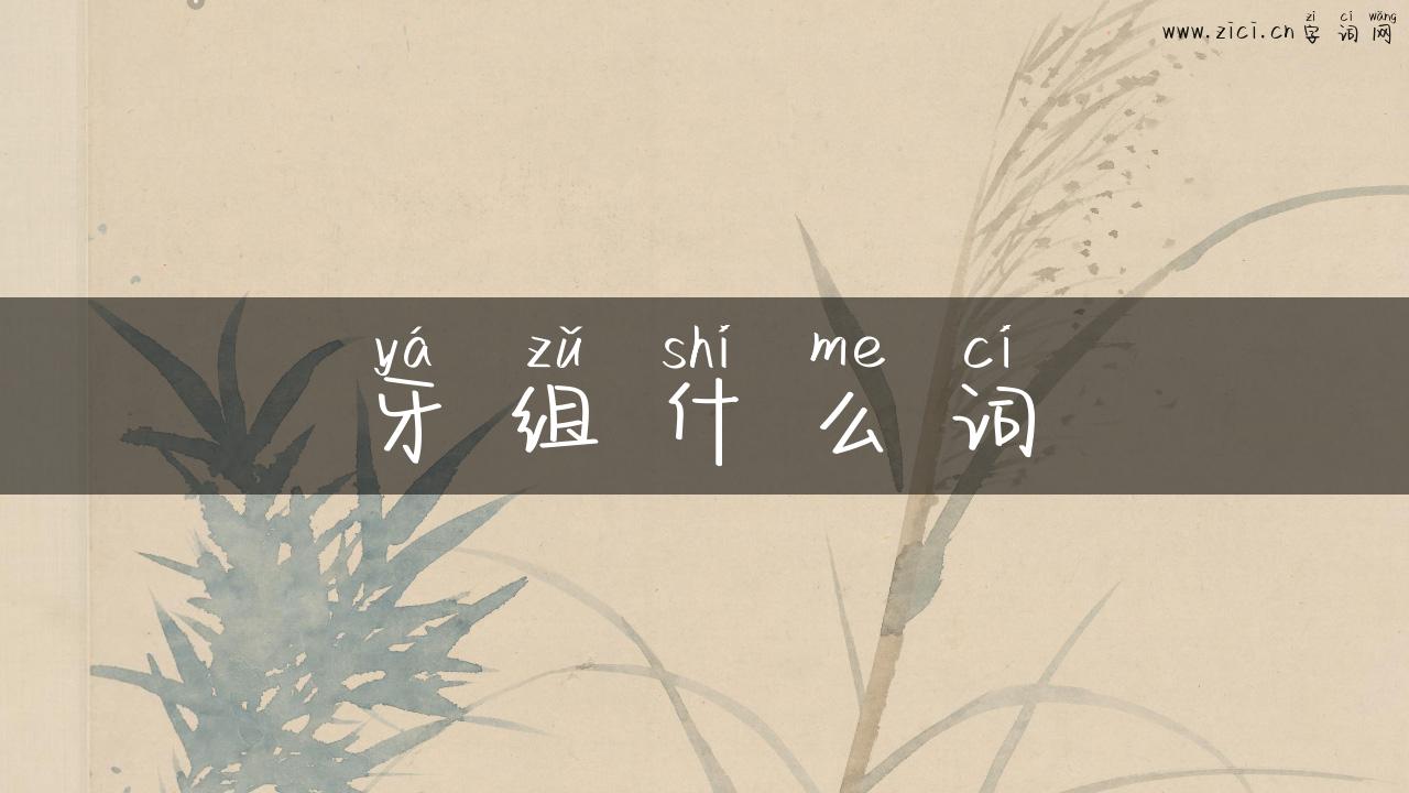 牙组什么词