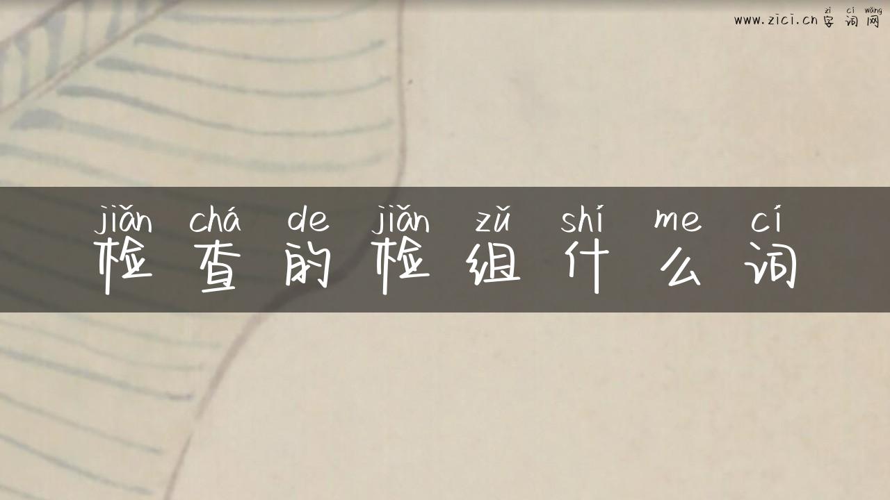 检查的检组什么词