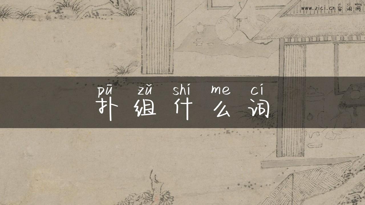 扑组什么词