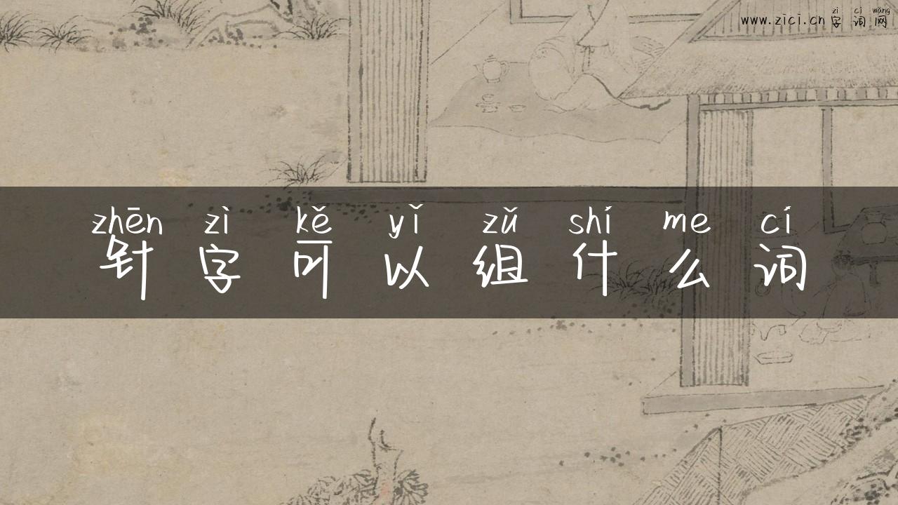 针字可以组什么词