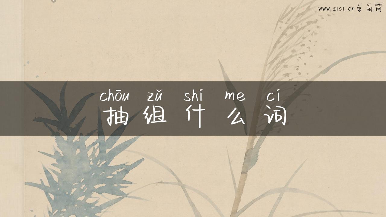 抽组什么词