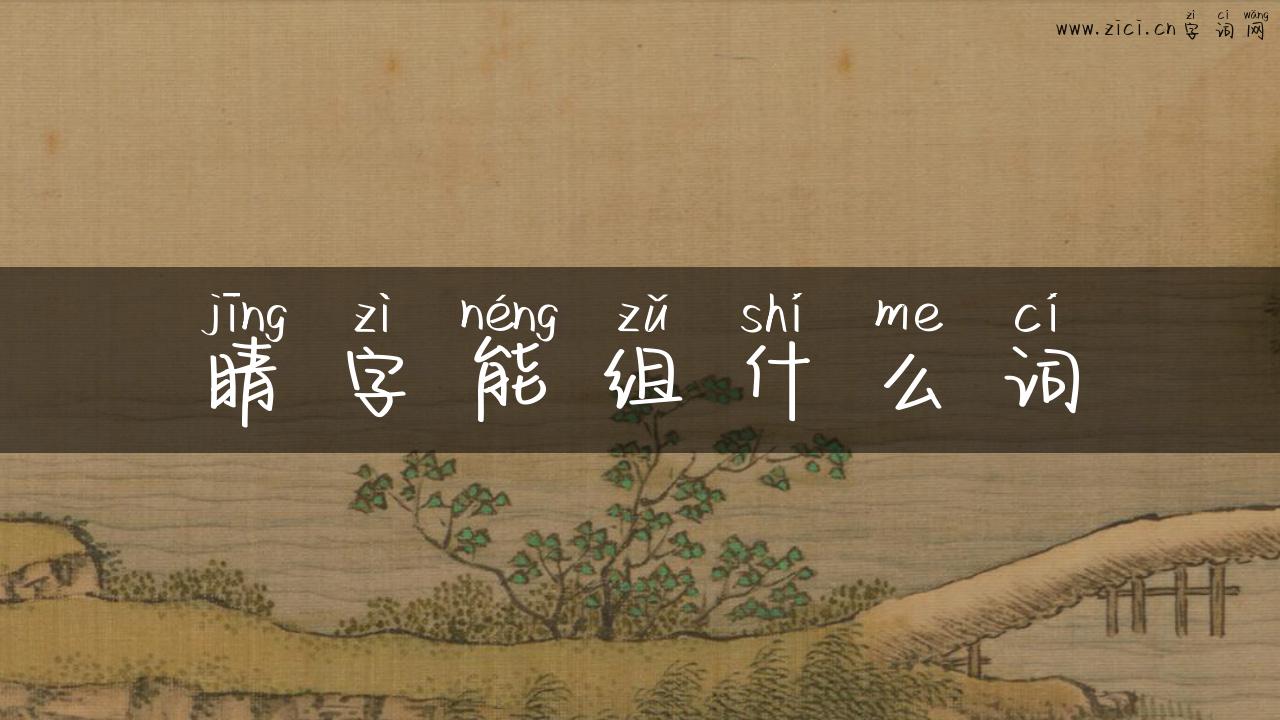 睛字能组什么词