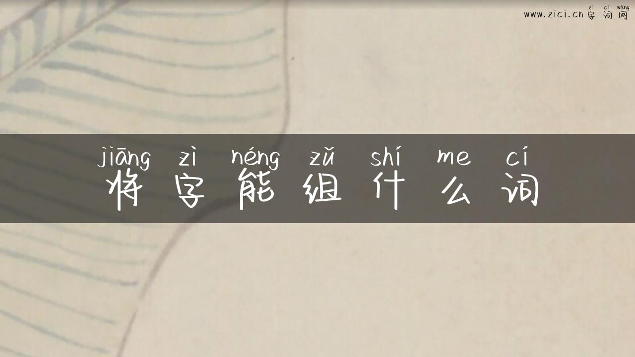 将字能组什么词