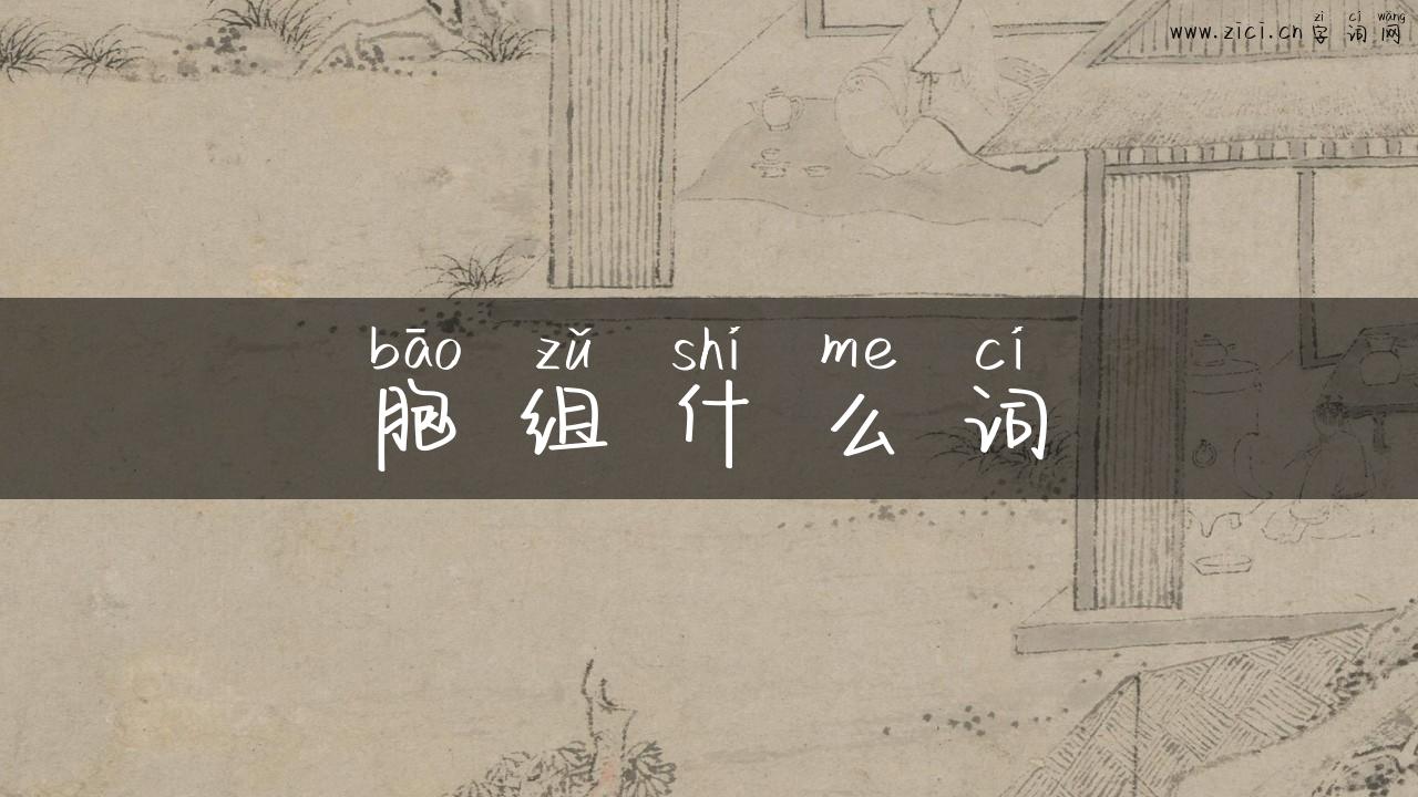 胞组什么词