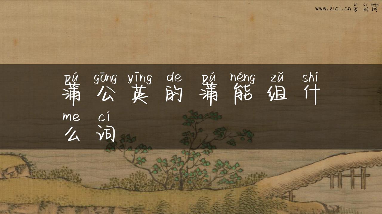 蒲公英的蒲能组什么词