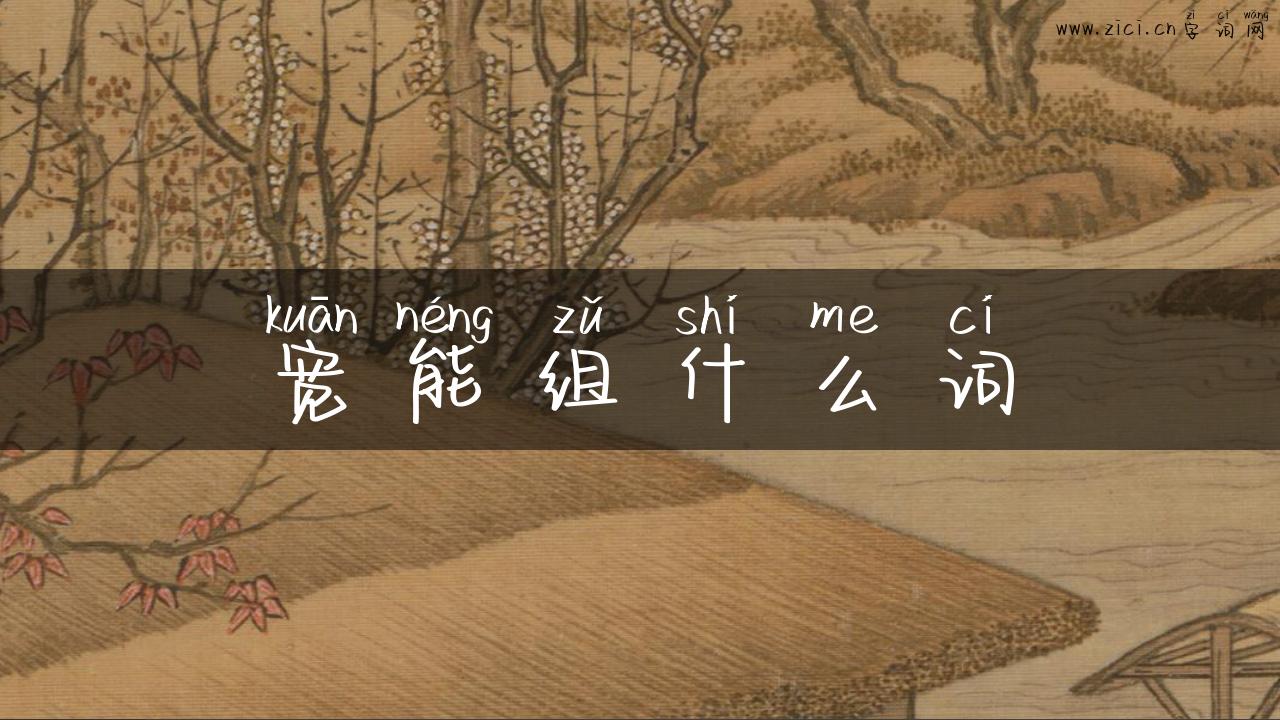 宽能组什么词