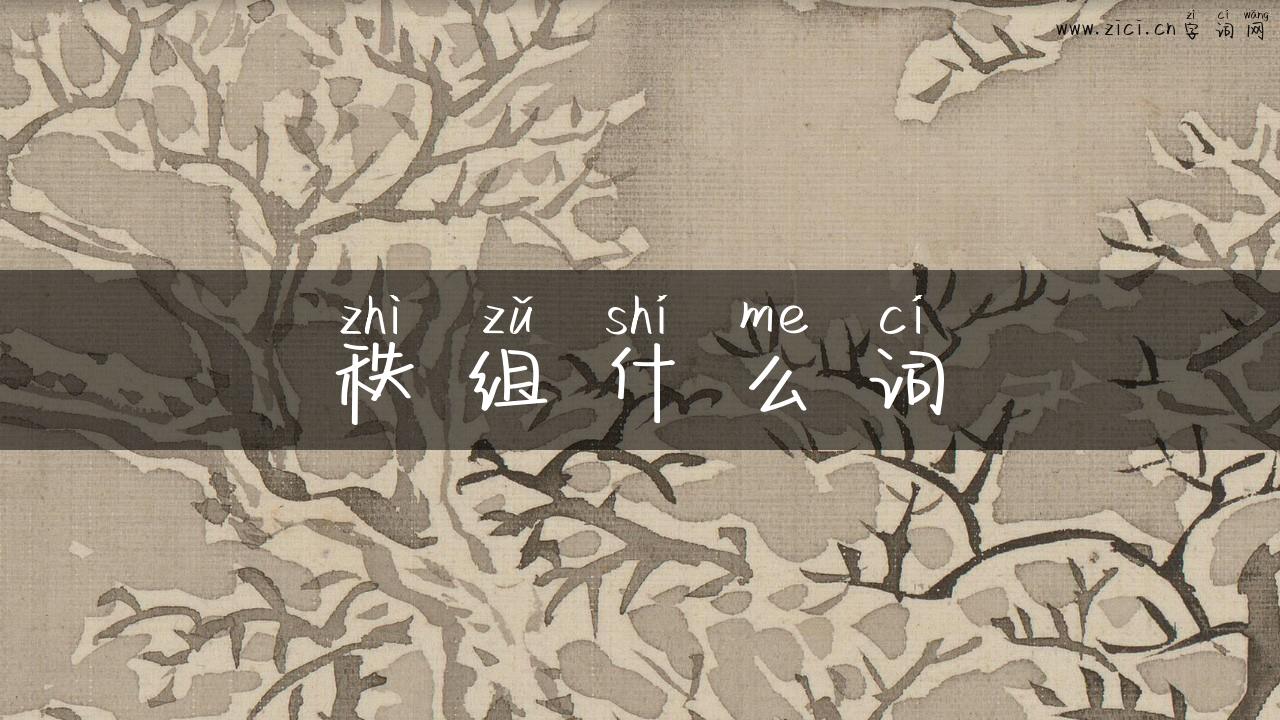 秩组什么词