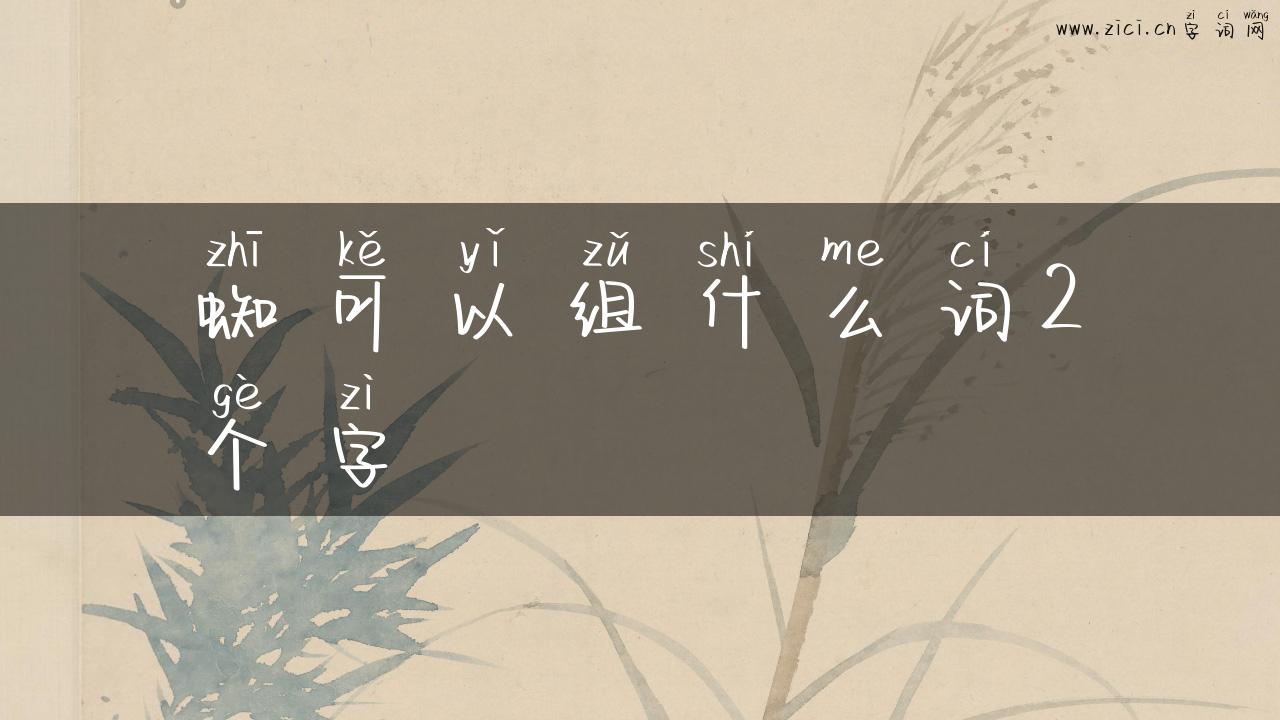 蜘可以组什么词2个字
