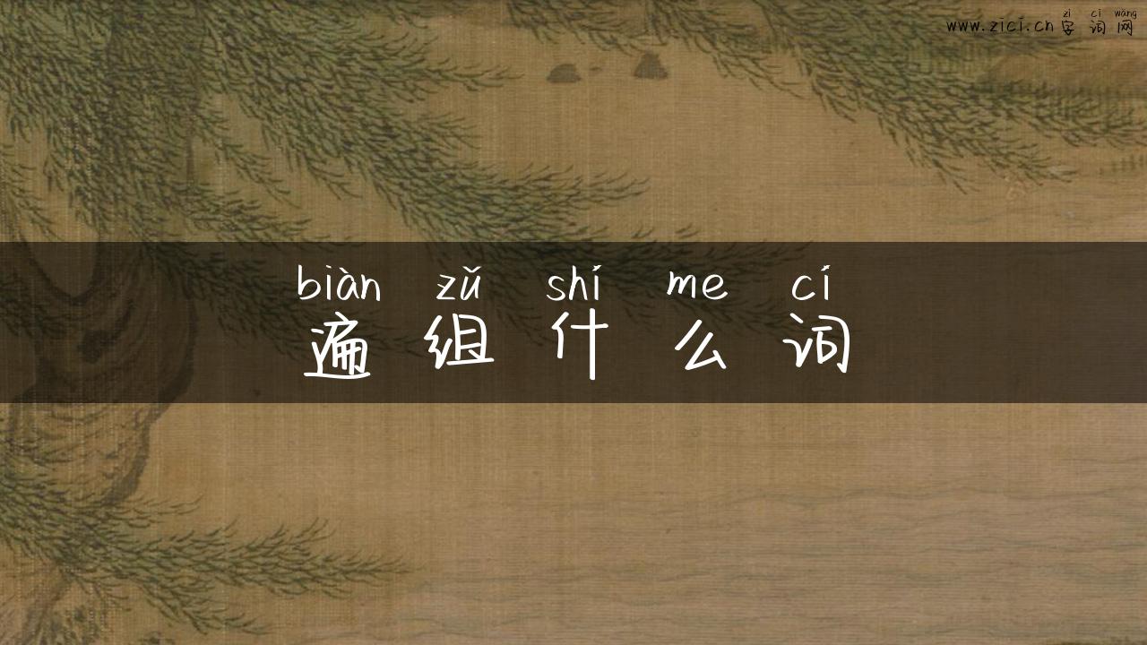 遍组什么词