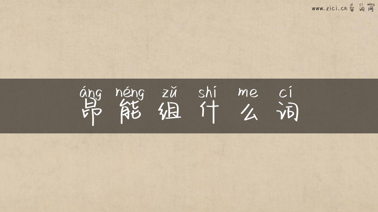 昂能组什么词