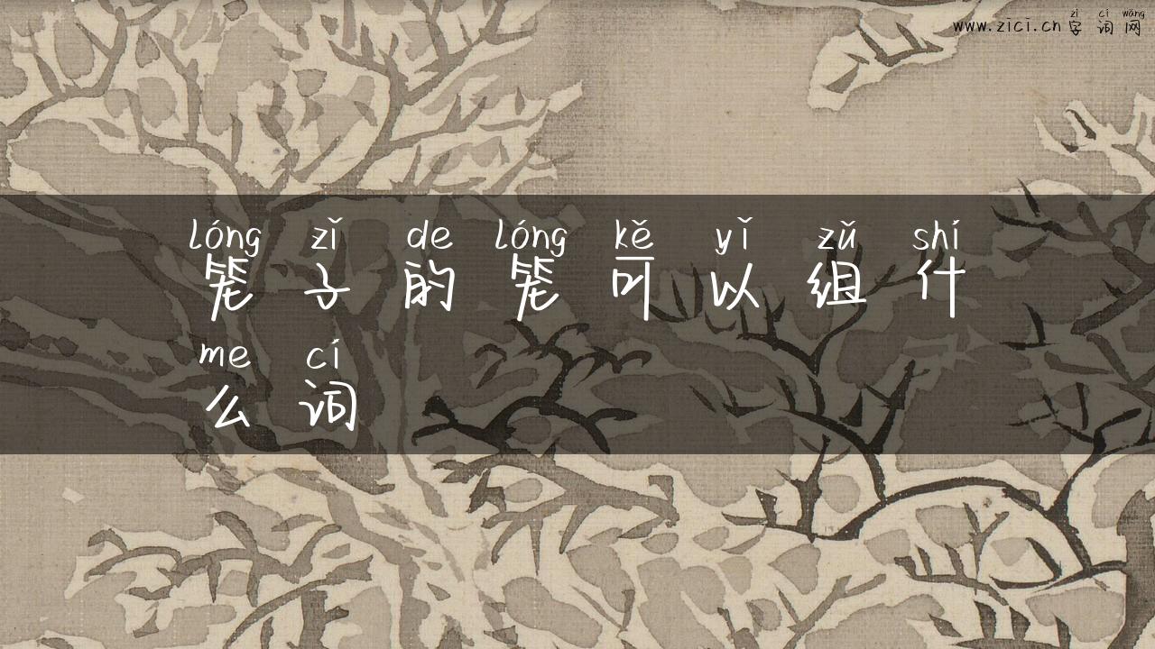 笼子的笼可以组什么词