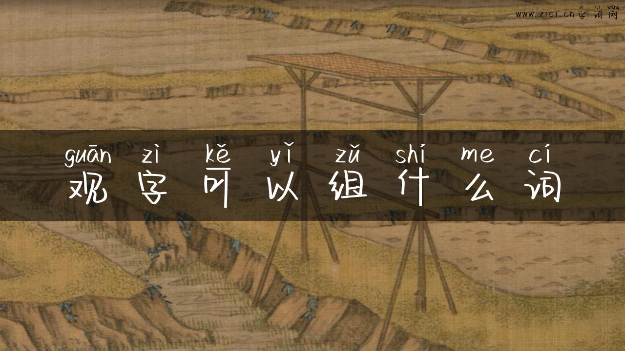 观字可以组什么词