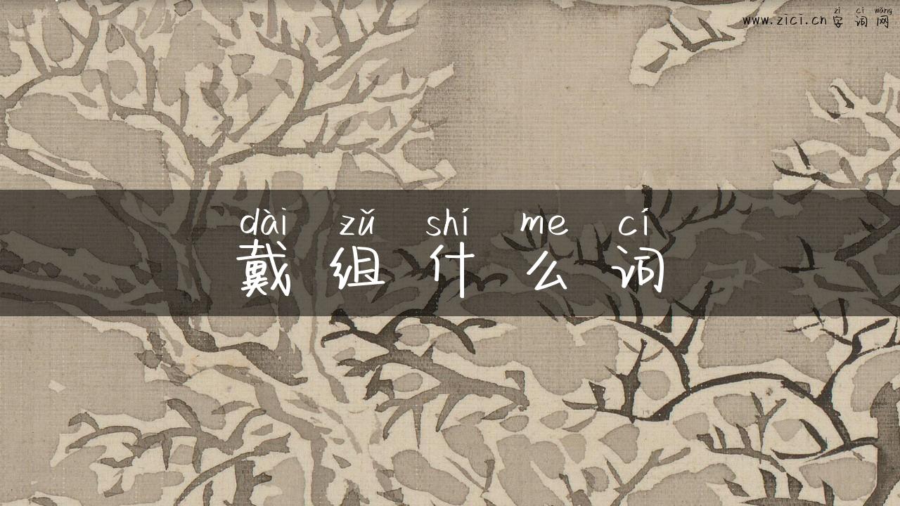 戴组什么词